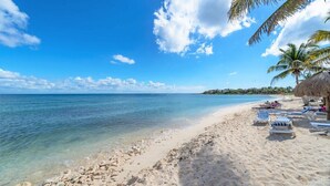 A beach with clear turquoise water, white sand, and a few palm trees. - Luxury beachfront ground level condo, perfect for a family, pool access, WiFi (AKUMAL)