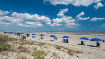 Plage à proximité, chaises longues, serviettes de plage