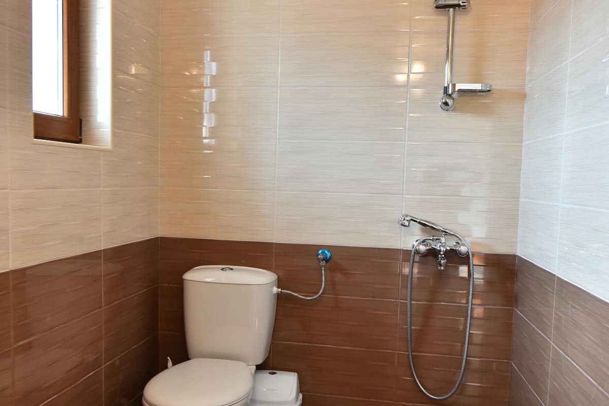 economy double room | bathroom | shower, free toiletries, hair dryer, towels