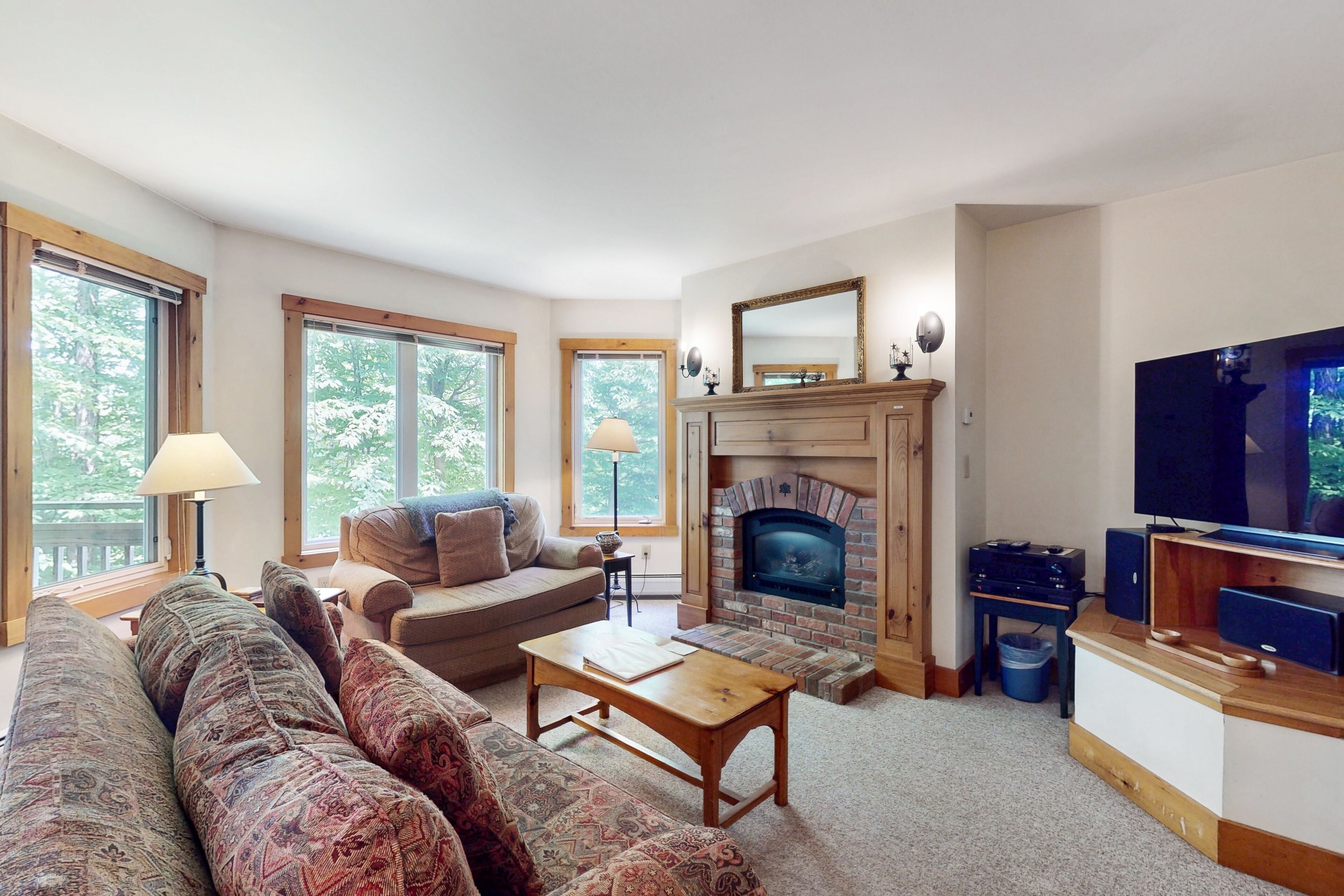 Télévision, cheminée, lecteur de DVD, chaîne hi-fi