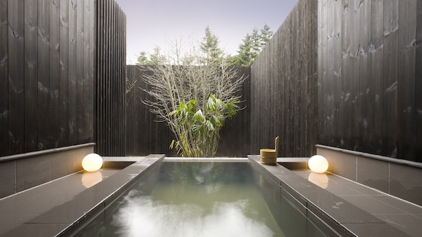 A modern spa area with a rectangular pool, wooden walls, and a bamboo plant. - Karuizawa Hotel Longing House (Karuizawa)