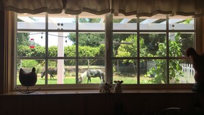 A window with a view of a fenced outdoor area, a rooster figurine, and a hanging light fixture. - Charming Santa Ynez farmhouse (Santa Ynez)