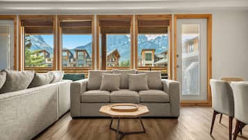 Smart TV, fireplace, books