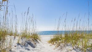 A sandy beach with tall grasses and a clear blue sky.