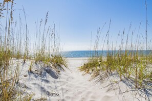 On the beach