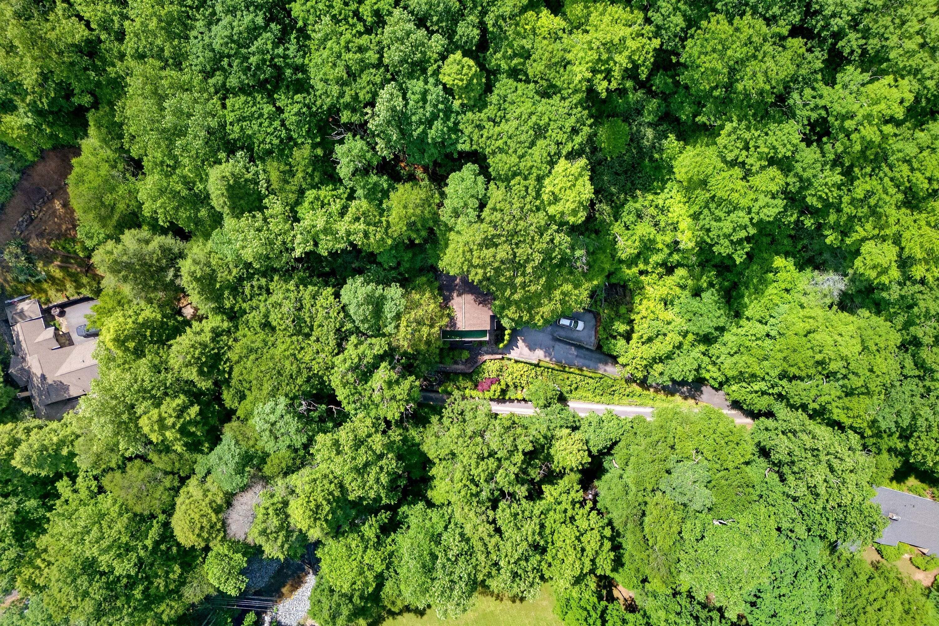 An aerial view of a residential area with dense greenery, a few houses, and a winding road.