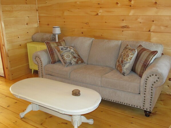 Smart TV, books - Lost Valley View Cabin (Ponca)