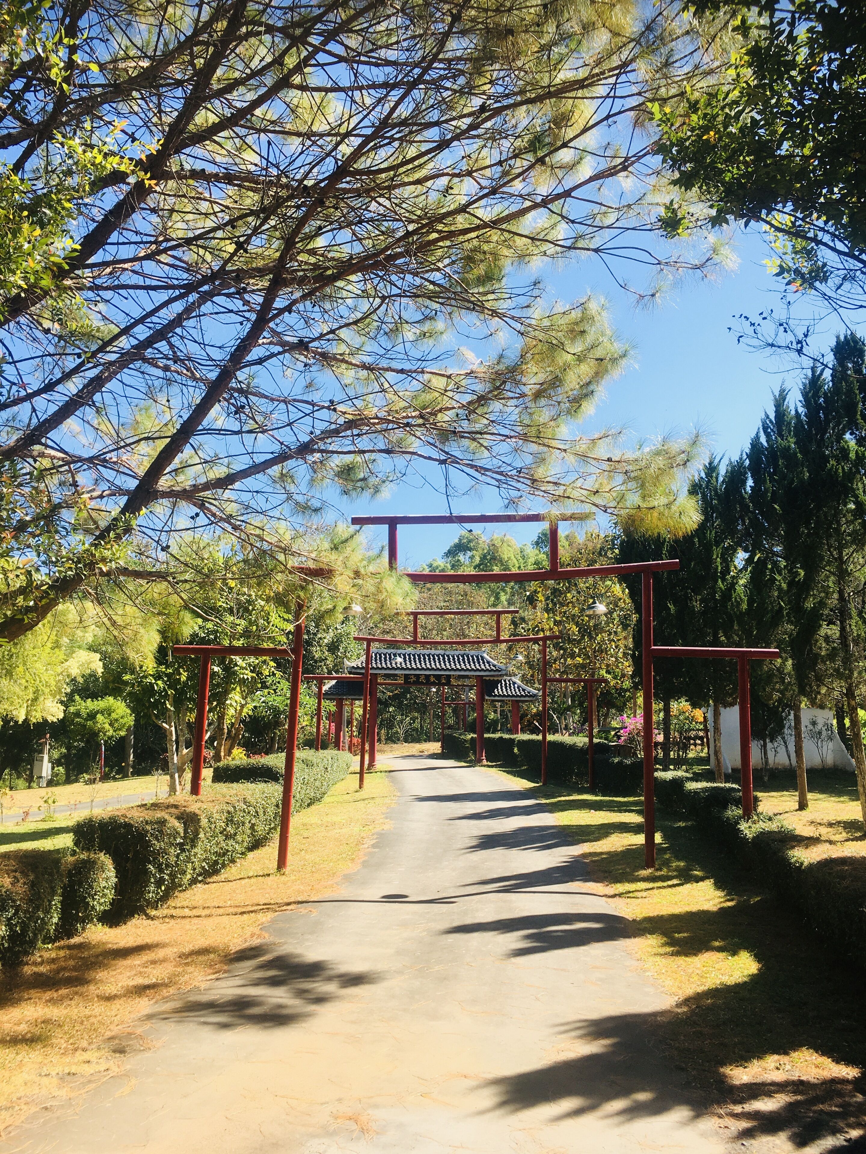 A pathway leading through a park with a traditional red gate structure.