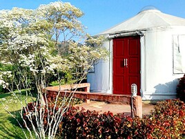 Krajom Mongolia | Balcon