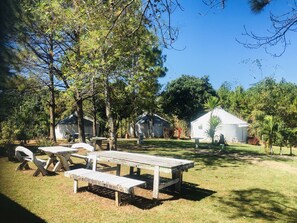 Un espace de pique-nique avec des bancs et des tables en bois, entouré d’arbres et bordé d’un bâtiment blanc.