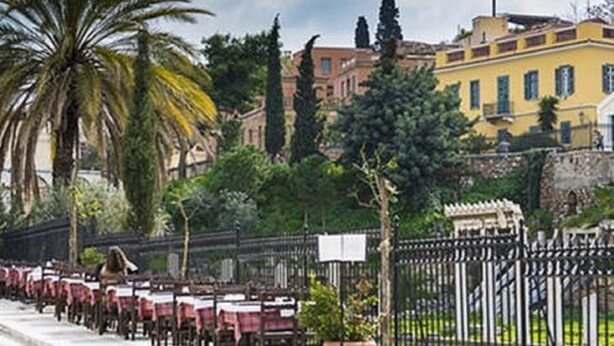Filas de mesas al aire libre con una valla en primer plano, una palmera y edificios al fondo.