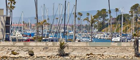 Un port de plaisance où de nombreux bateaux sont amarrés, entouré de palmiers et bordé d’une côte rocheuse.