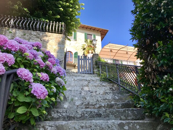 Property grounds - A Panoramic Tuscan Luxury - Villa Maria in Fronzano (Reggello)