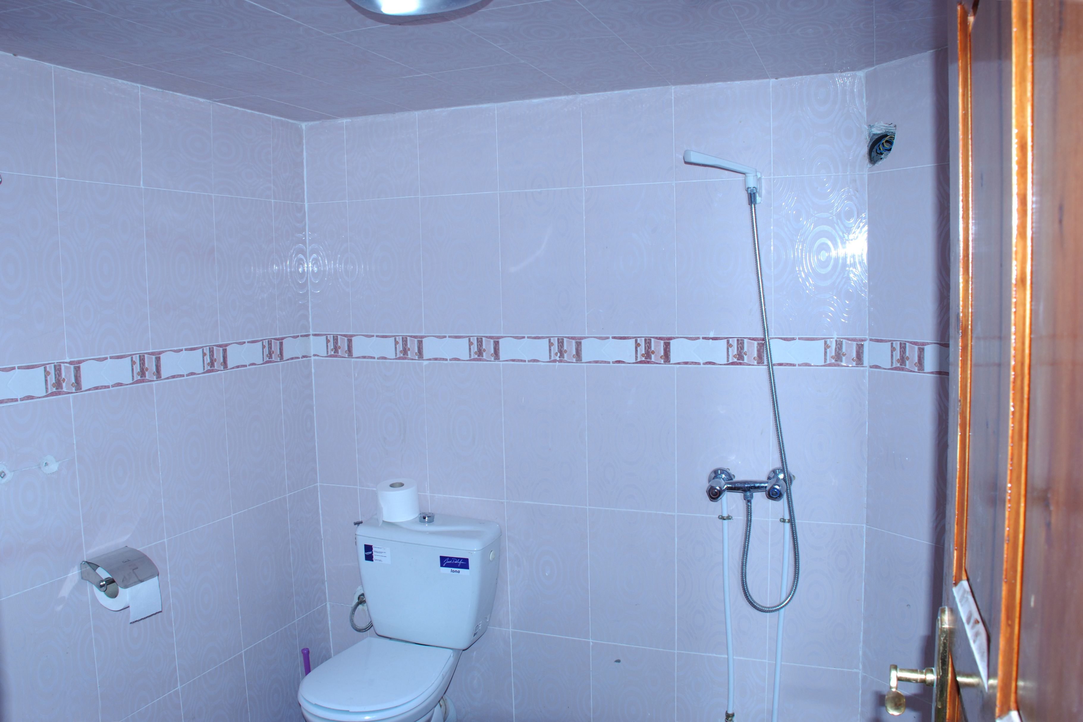 A bathroom with a toilet, a shower, and a toilet paper holder.