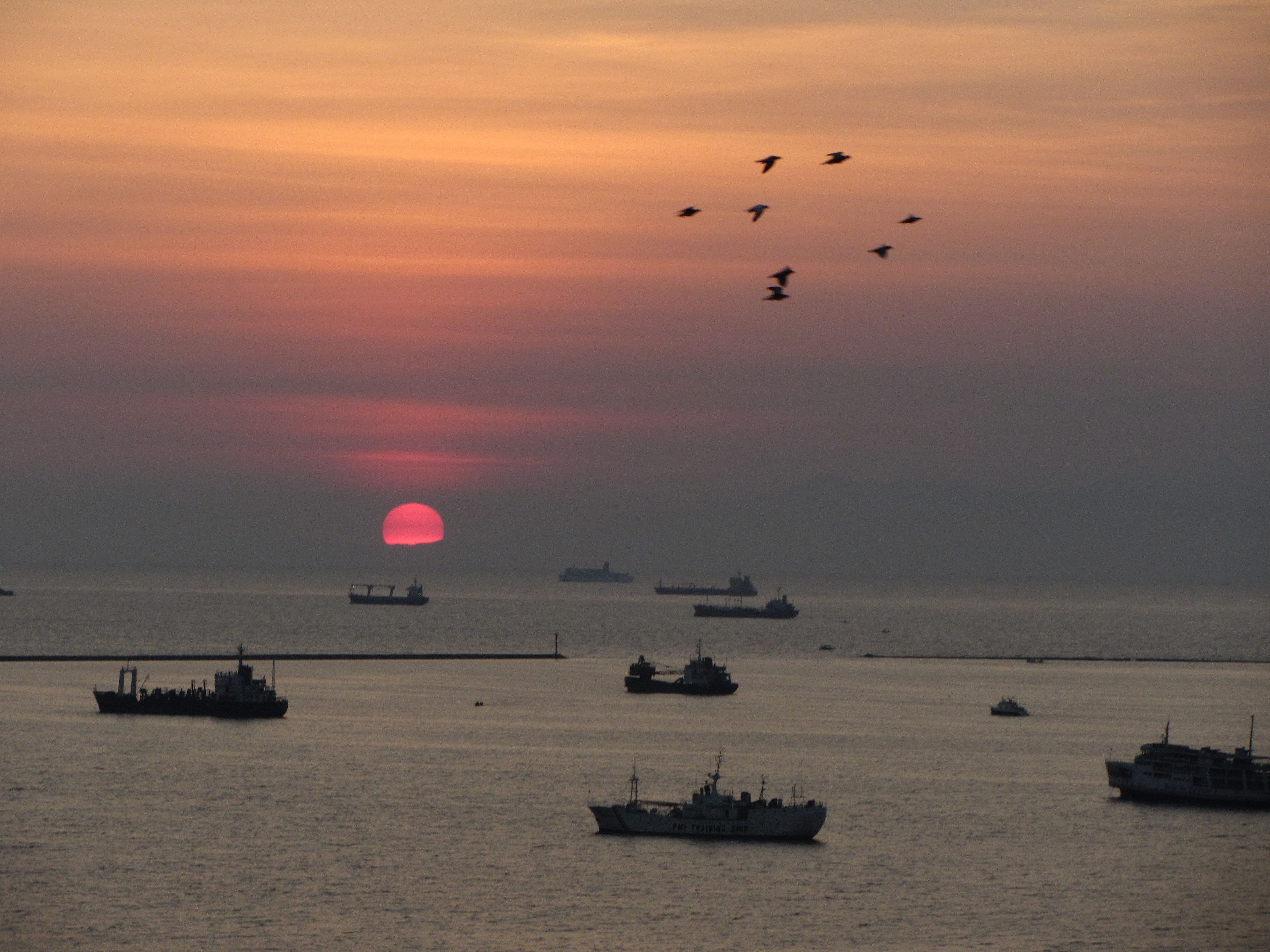 A sunset over a body of water with several ships and a bird in flight.