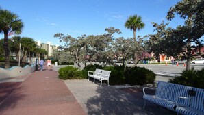Un parque con bancos, palmeras y una acera.