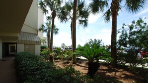 A courtyard with palm trees, a pathway, and a building entrance. - 🌊🎣 Relax and catch a couple fish- Happiness comes in waves. 🎣🌊 (Gulf Shores)