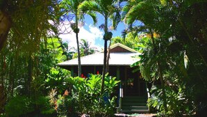 Un petit bâtiment d’un seul étage, entouré d’une végétation tropicale luxuriante.