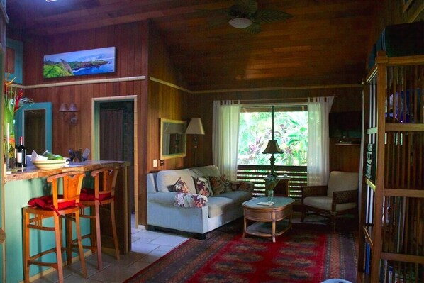 Televisión, reproductor de DVD, libros y estéreo 