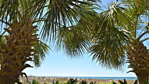 Une vue sur la plage encadrée par des palmiers.