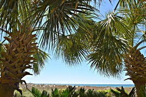 A beach view framed by palm trees.
