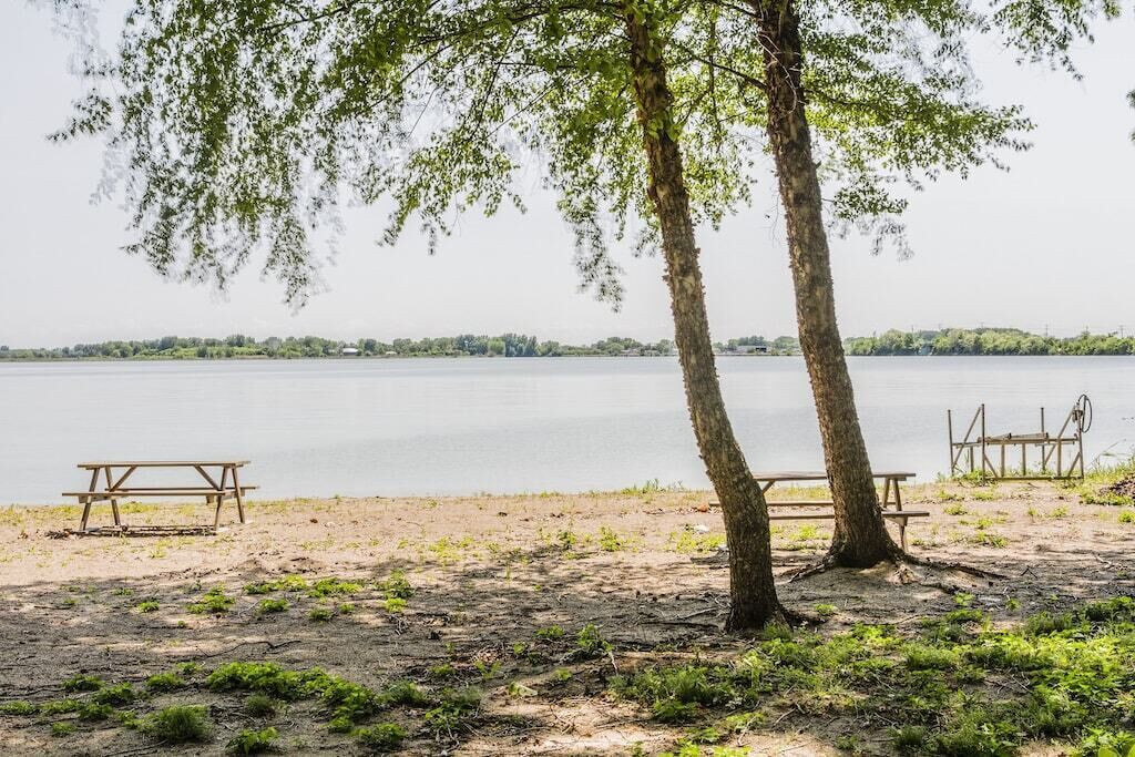 Un espace de pique-nique au bord du lac, équipé de deux tables et de deux bancs en bois, entouré d’arbres et bordé d’une étendue d’eau calme.