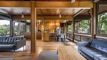 智能電視、壁爐、DVD 播放機