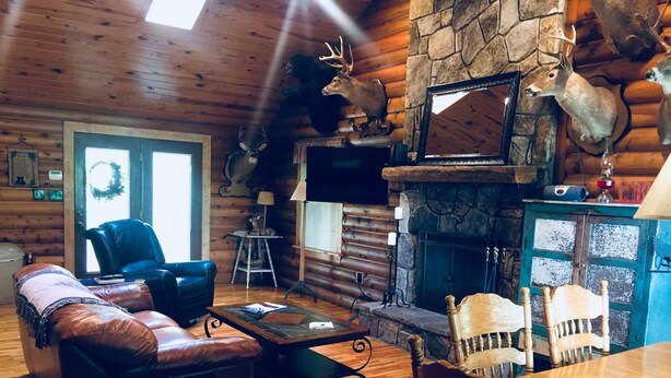 A cozy log cabin interior with a stone fireplace, leather furniture, and mounted animal heads.