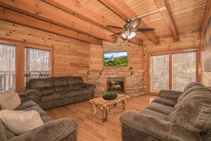 Télévision, cheminée, lecteur de DVD