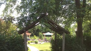 Ein Weg, der durch einen Garten mit einer Pergola führt.