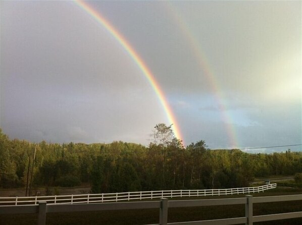 A rainbow over a forested area with a white fence in the foreground.