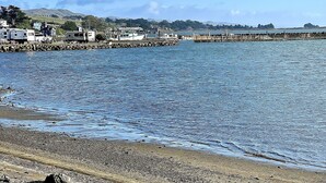 A waterfront area with a dock, boats, and buildings along the shore. - Across from Marina, Fishing, Watch the Sea Lions, Great Parking for Boats (Bodega Bay)