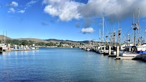 A marina with boats docked, calm water, and a hilly landscape in the background. - Across from Marina, Fishing, Watch the Sea Lions, Great Parking for Boats (Bodega Bay)