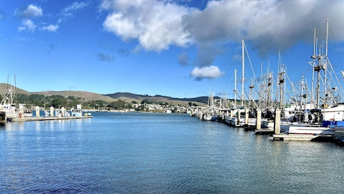 Across from Marina, Fishing, Watch the Sea Lions, Great Parking for Boats