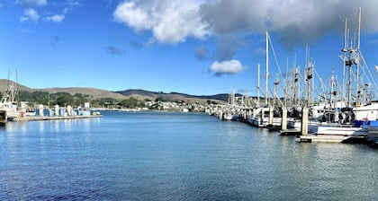 Kävelymatkan päässä, kalastaminen, merilinjojen katselu, suuri veneiden pysäköinti