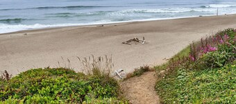 Large Vacation Home,10bd/8ba Beach Unique Whale Watching from beach