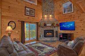 TV, fireplace, DVD player