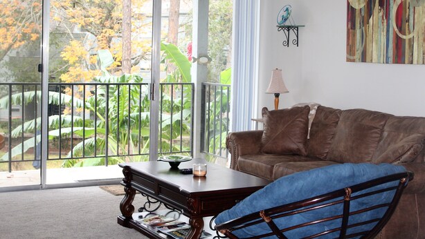 Un salon avec un canapé marron, un fauteuil bleu, une table basse en bois et un balcon offrant une vue sur les arbres et les plantes.