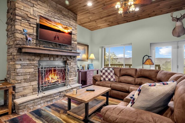 TV, fireplace, video games, DVD player