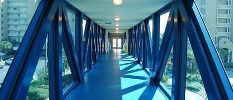 A corridor with a blue floor and large windows on both sides, leading to a door at the end.