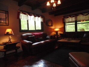 Een smart-tv, een open haard, een dvd-speler en boeken