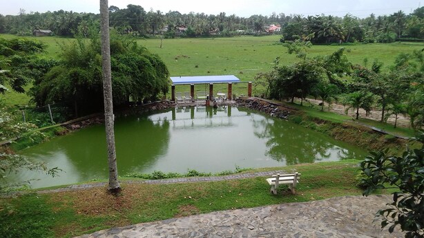 A serene pond with a gazebo and a bench, surrounded by lush greenery and a distant view of houses. - Lakeside Hybrid Villa (Bandaragama)