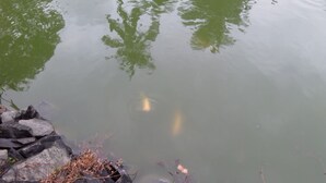 A calm body of water with reflections of trees and rocks on the surface. - Lakeside Hybrid Villa (Bandaragama)
