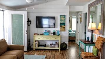 TV, DVD player, books, music library