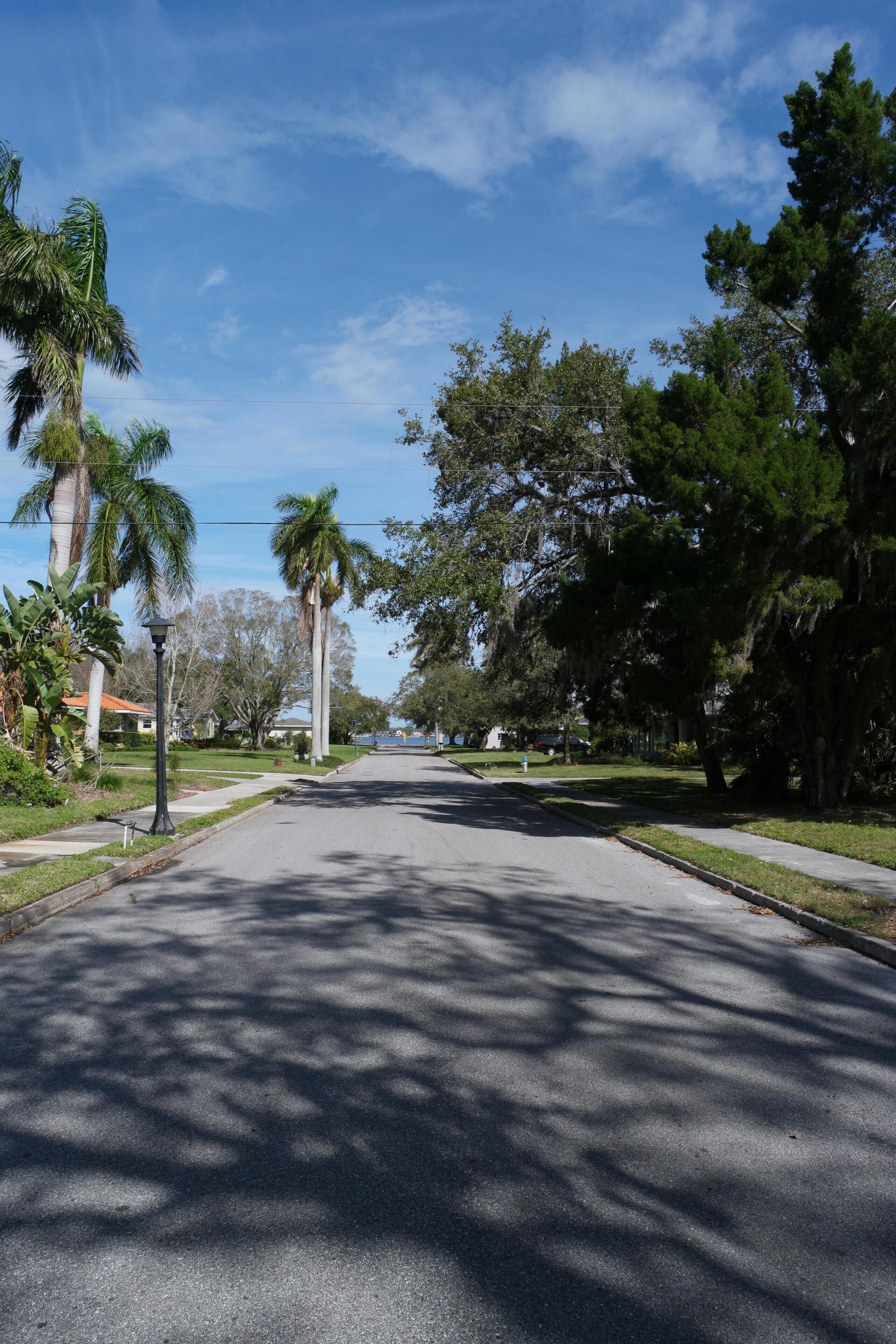 A quiet, tree-lined street with houses on both sides.