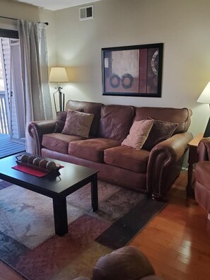 TV, fireplace, DVD player, books