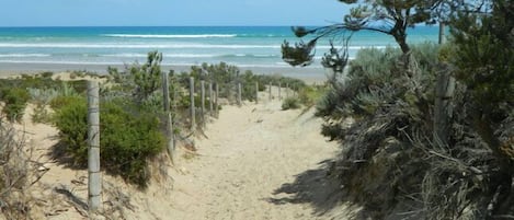 Vlak bij het strand, strandlakens
