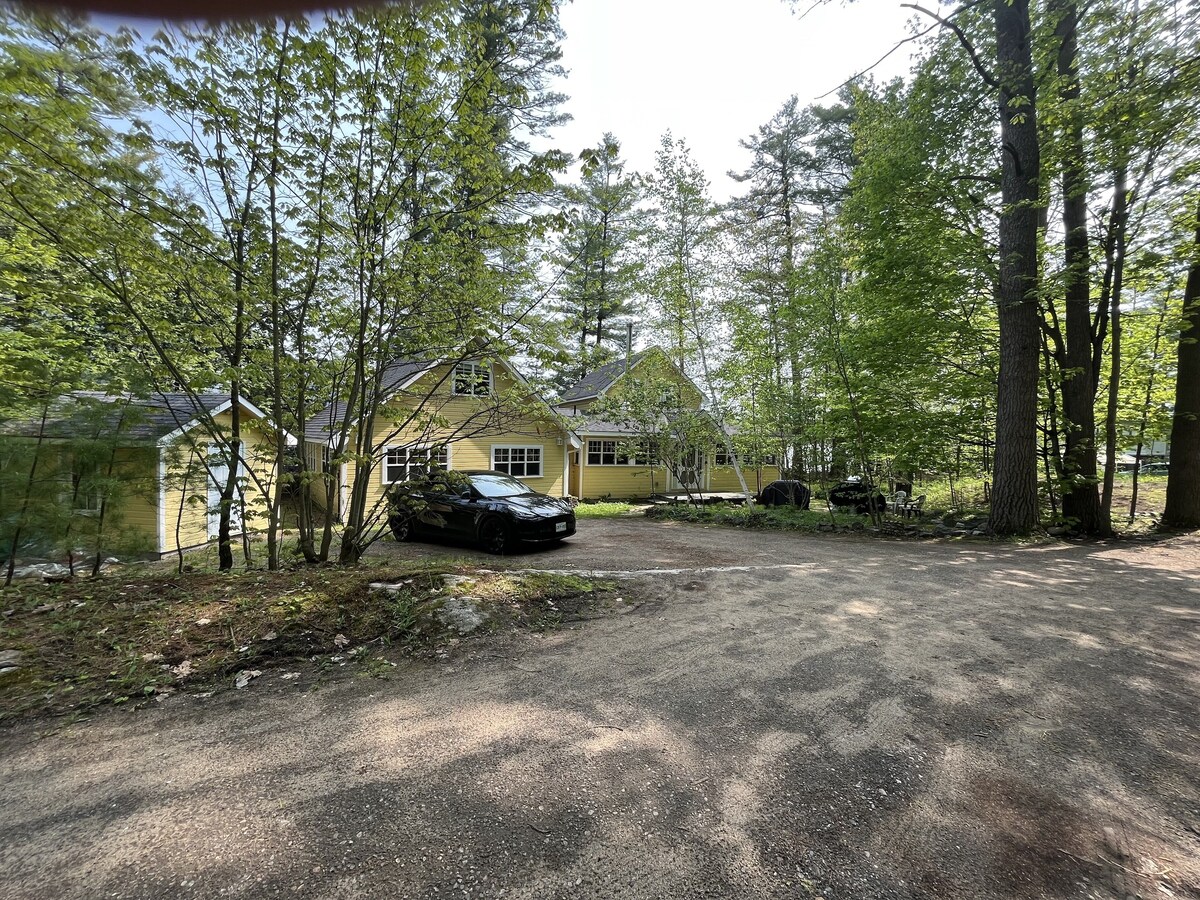 Imagen de perfil del propietario o de la propietaria