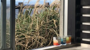 Ein Fenster mit Blick auf hohes Gras und ein fernes Gebirge.