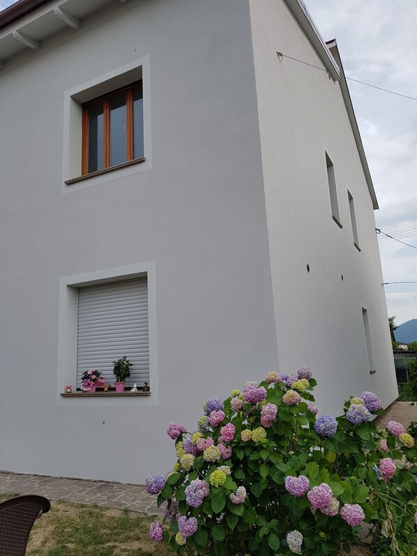 Un edificio moderno blanco con dos ventanas y un pequeño balcón con plantas en macetas.
